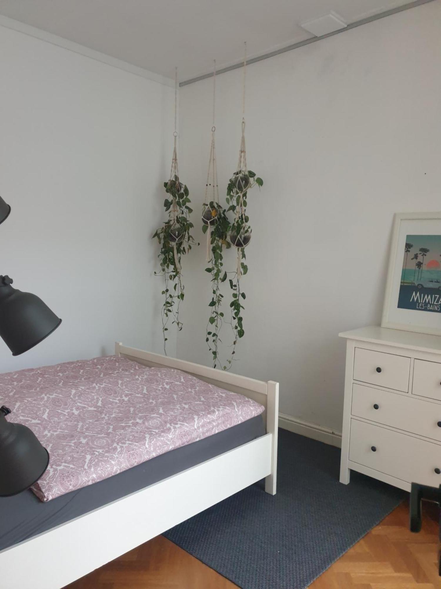 @Salland Zwolle (Overijssel) Quarto foto